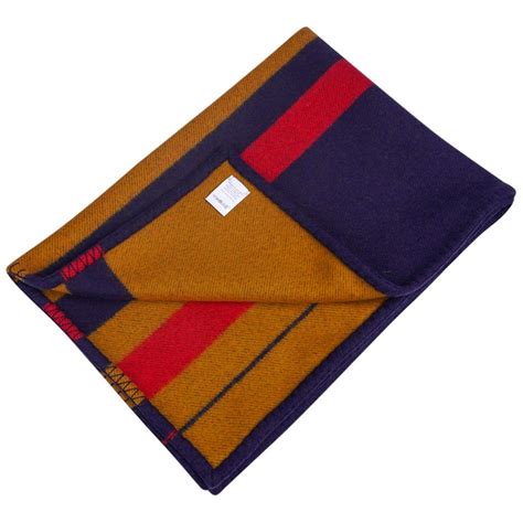 hermes dog blanket|Hermes blankets for sale.